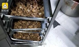 外卖很脏爆料视频怎么做,揭秘脏乱背后的真相